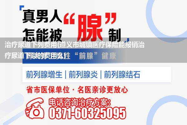 治疗尿道下列费用(遵义市城镇医疗保险能报销治疗尿道下裂的费用么)