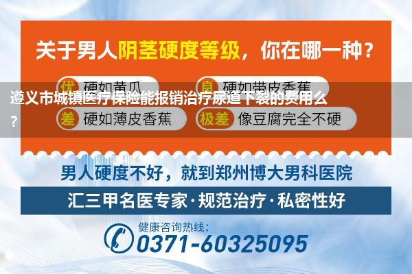 治疗尿道下列费用(遵义市城镇医疗保险能报销治疗尿道下裂的费用么)